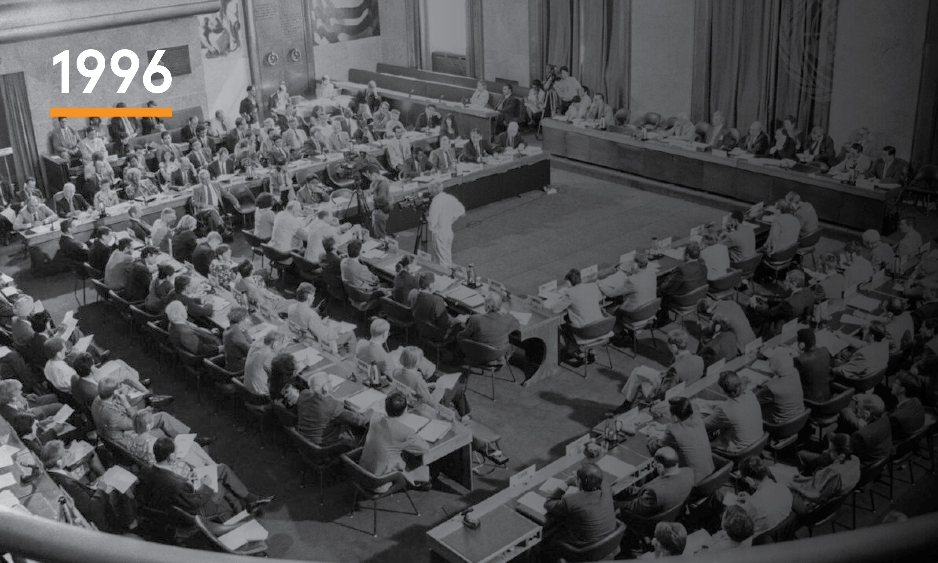 The UN General Assembly