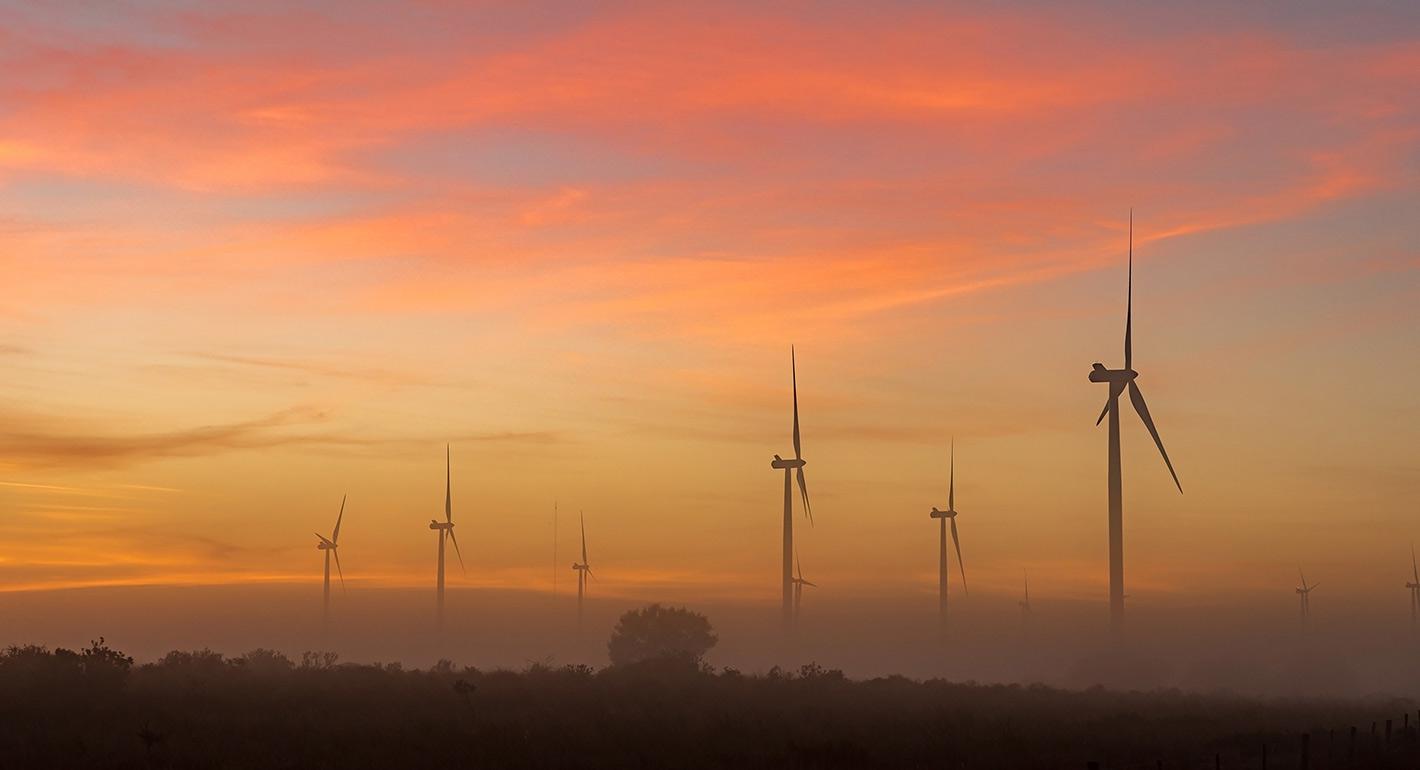 What Does the European Green Deal Mean for Africa?