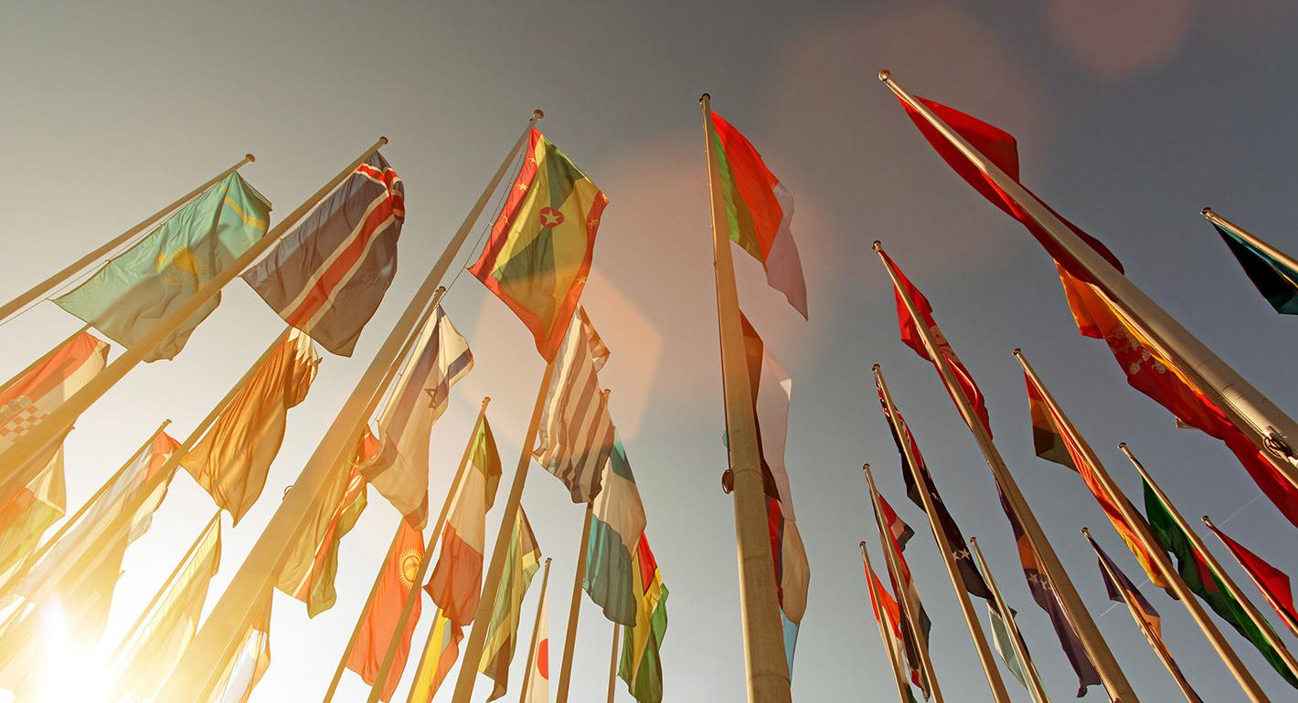 Rules of Order: Assessing the State of Global Governance