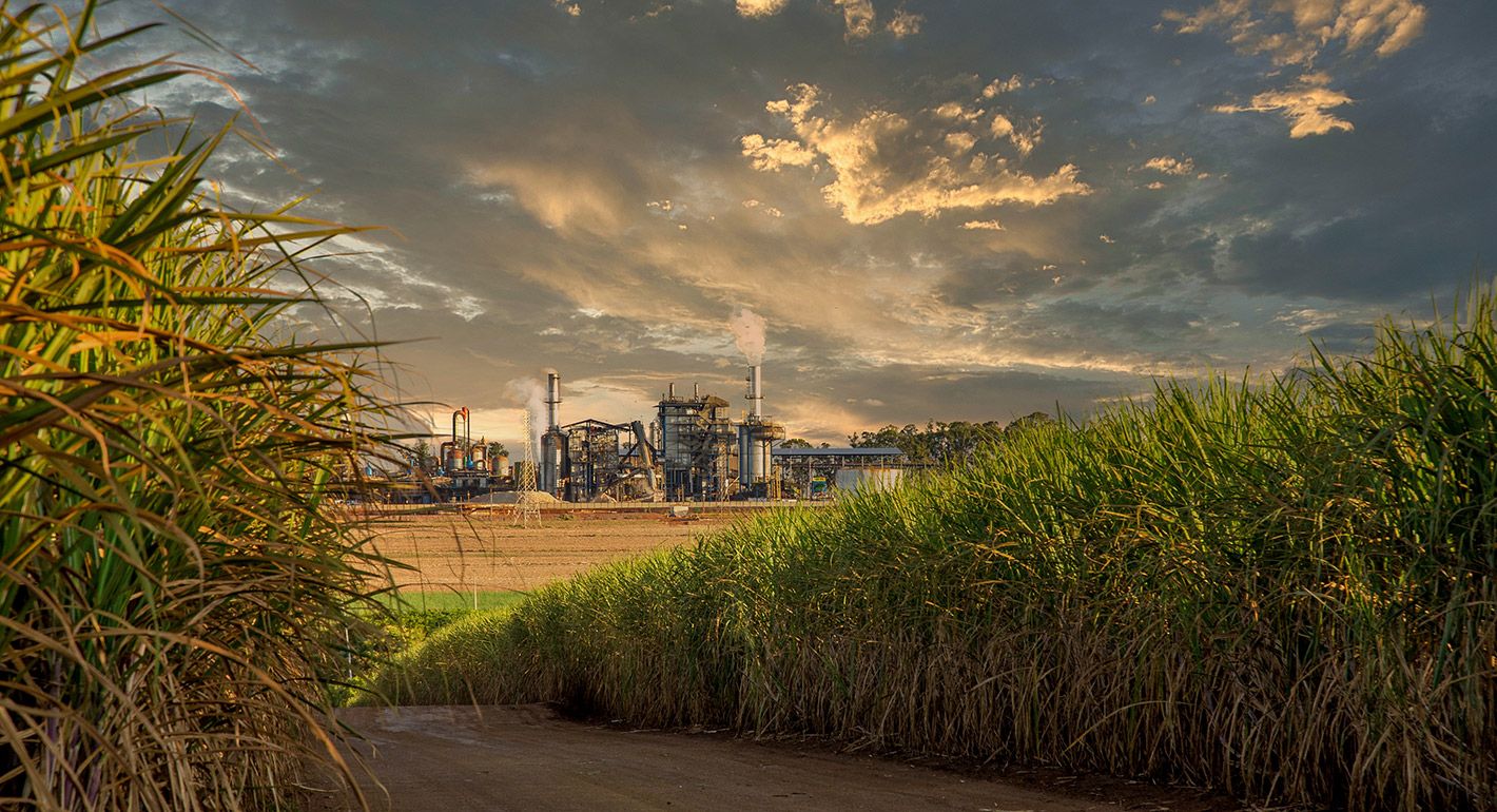 The Resurgence of Industrial Policies and Their Commercial Adequacy: A Perspective from the South